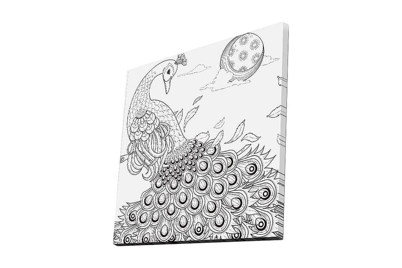 Lærredstryk 45x45 cm - Påfugl med spredte fjer i en detaljeret komposition, Sort / Hvid