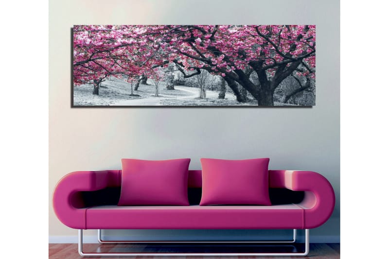 Lærredstryk 80x30 cm - Blomstrende kirsebærtræer i sort-hvidt landskab - Lyserød / Sort - Boligtilbehør - Billeder & kunst - Billeder på lærred