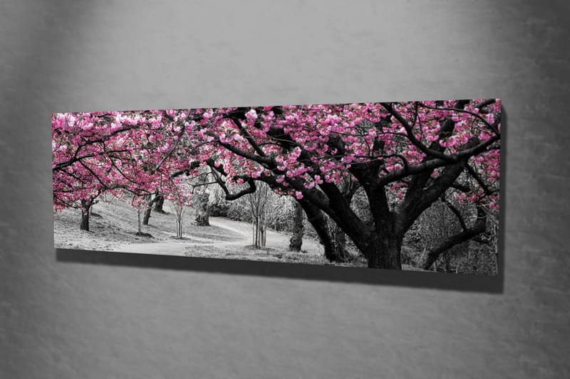 Lærredstryk 80x30 cm - Blomstrende kirsebærtræer i sort-hvidt landskab - Lyserød / Sort - Boligtilbehør - Billeder & kunst - Billeder på lærred