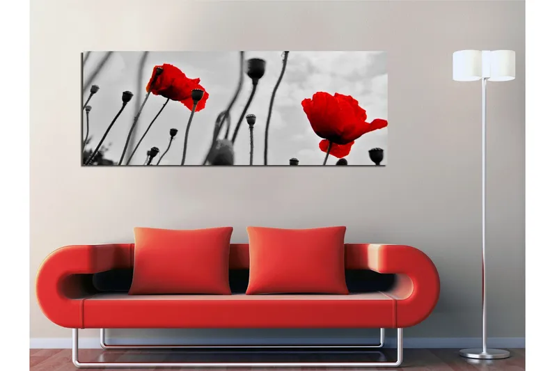 Lærredstryk 80x30 cm - Rød valmue mod en sort-hvid baggrund - Rød / Sort / Grå - Boligtilbehør - Billeder & kunst - Billeder på lærred