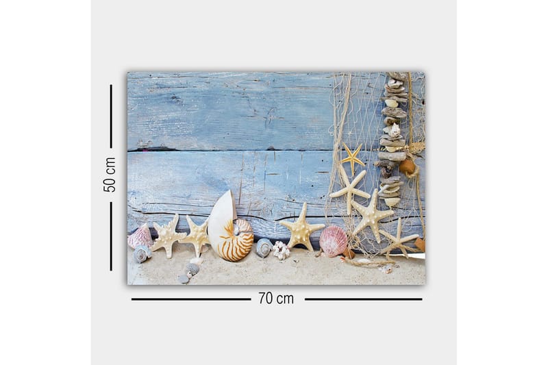 Lærredstryk - Havinspireret samling af skaller og søstjerner - Blå / Beige / Hvid - Boligtilbehør - Billeder & kunst - Billeder på lærred