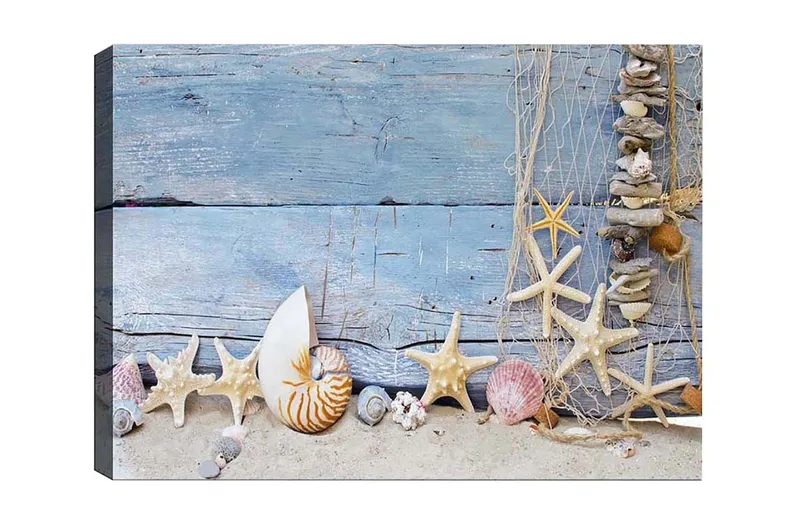 Lærredstryk - Havinspireret samling af skaller og søstjerner, Blå / Beige / Hvid
