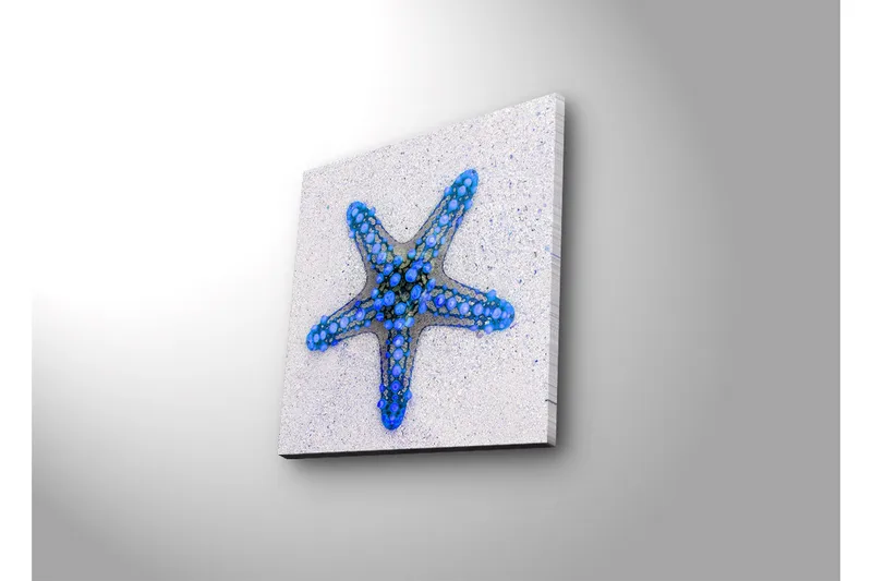 Lærredstryk med LED-belysning 28x28 cm - Havets stjerne i blå nuancer - Blå / Lyseblå / Beige - Boligtilbehør - Billeder & kunst - Billeder på lærred