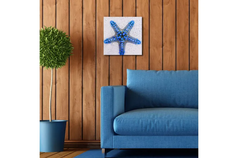Lærredstryk med LED-belysning 28x28 cm - Havets stjerne i blå nuancer - Blå / Lyseblå / Beige - Boligtilbehør - Billeder & kunst - Billeder på lærred