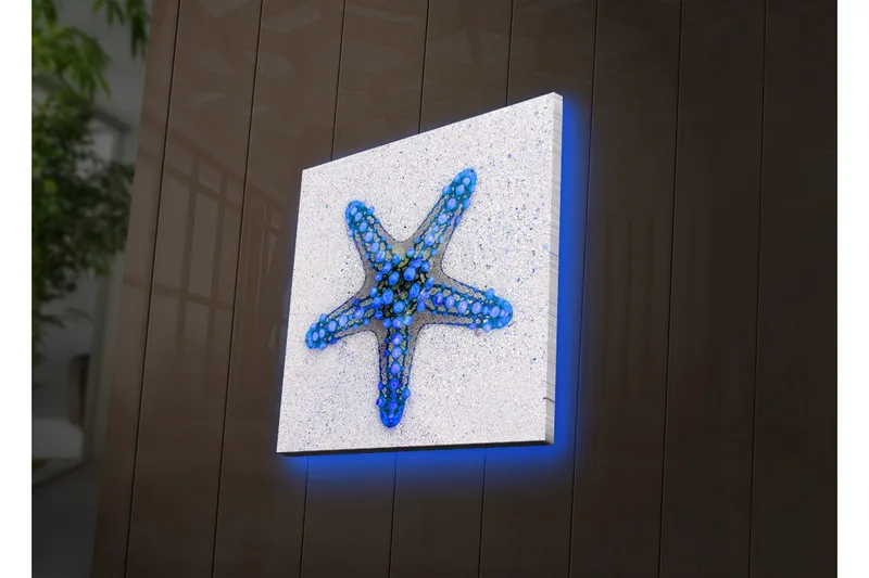 Lærredstryk med LED-belysning 28x28 cm - Havets stjerne i blå nuancer - Blå / Lyseblå / Beige - Boligtilbehør - Billeder & kunst - Billeder på lærred