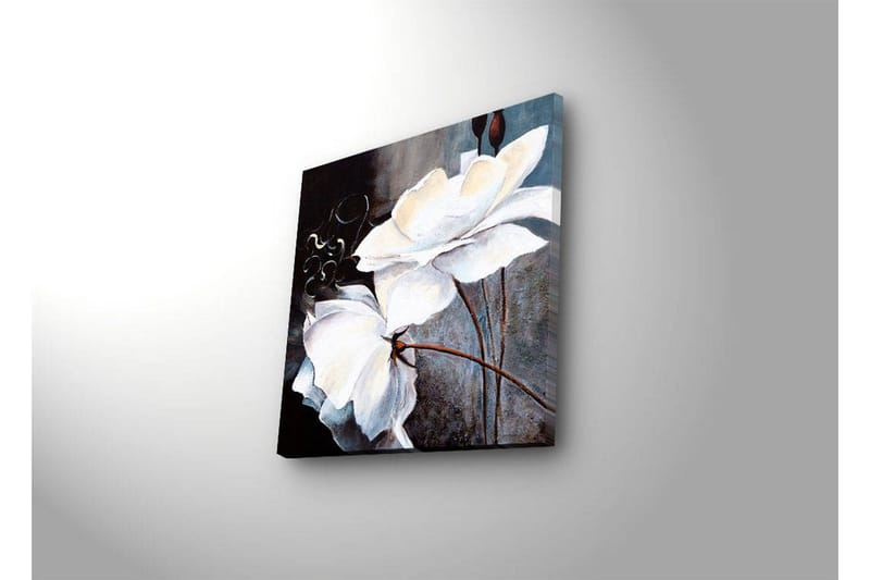 Lærredstryk med LED-belysning 28x28 cm - Hvide blomster med elegante detaljer - Hvid / Grå / Brun - Boligtilbehør - Billeder & kunst - Billeder på lærred