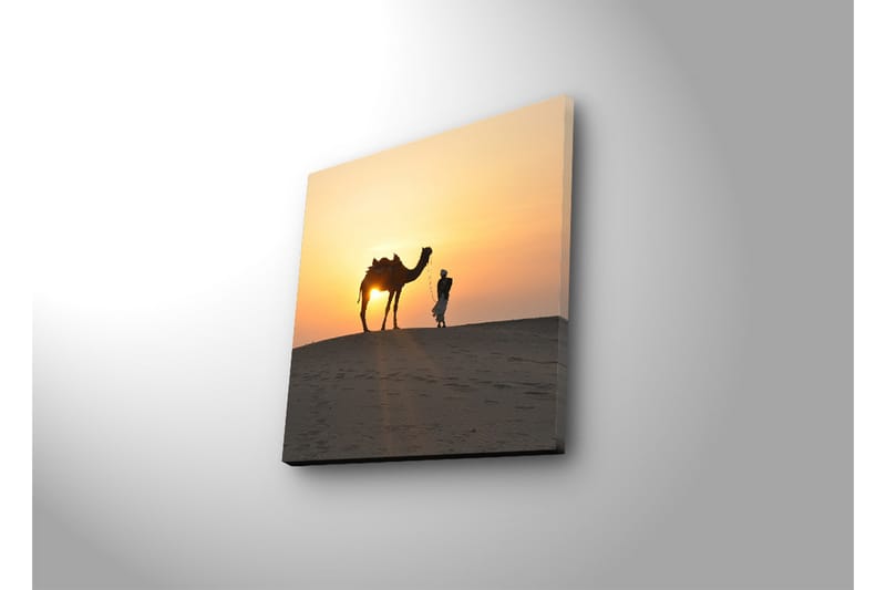 Lærredstryk med LED-belysning 28x28 cm - Kamel og mand ved solnedgang på klitter - Orange / Gul / Sort - Boligtilbehør - Billeder & kunst - Billeder på lærred
