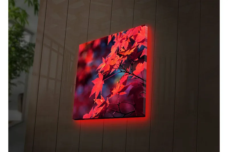 Lærredstryk med LED-belysning 28x28 cm - Klart rødt ahornblad i efterårsfarver, Rød / Orange / Mørkeblå