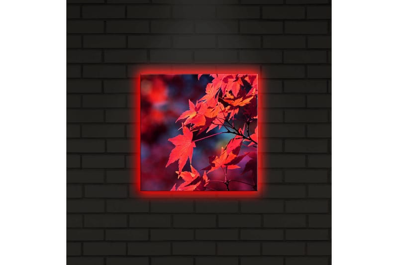 Lærredstryk med LED-belysning 28x28 cm - Klart rødt ahornblad i efterårsfarver - Rød / Orange / Mørkeblå - Boligtilbehør - Billeder & kunst - Billeder på lærred
