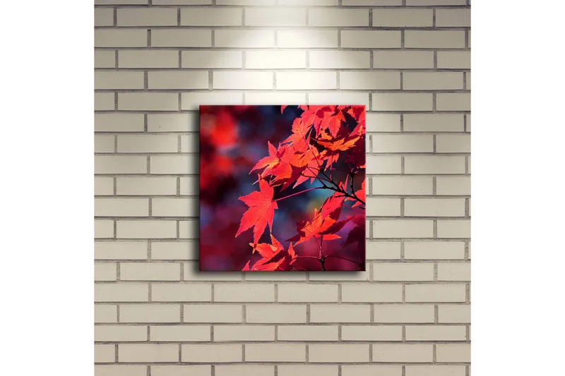 Lærredstryk med LED-belysning 28x28 cm - Klart rødt ahornblad i efterårsfarver - Rød / Orange / Mørkeblå - Boligtilbehør - Billeder & kunst - Billeder på lærred
