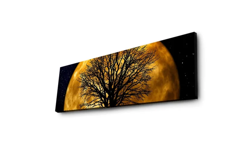 Lærredstryk med LED-belysning 30x90 cm - Atmosfærisk motiv af en måne bag en silhuet af et træ - Guld / Sort - Boligtilbehør - Billeder & kunst - Billeder på lærred