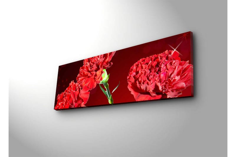 Lærredstryk med LED-belysning 30x90 cm - Farverig buket af nelliker - Rød / Grøn - Boligtilbehør - Billeder & kunst - Billeder på lærred