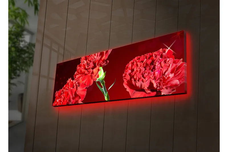 Lærredstryk med LED-belysning 30x90 cm - Farverig buket af nelliker - Rød / Grøn - Boligtilbehør - Billeder & kunst - Billeder på lærred