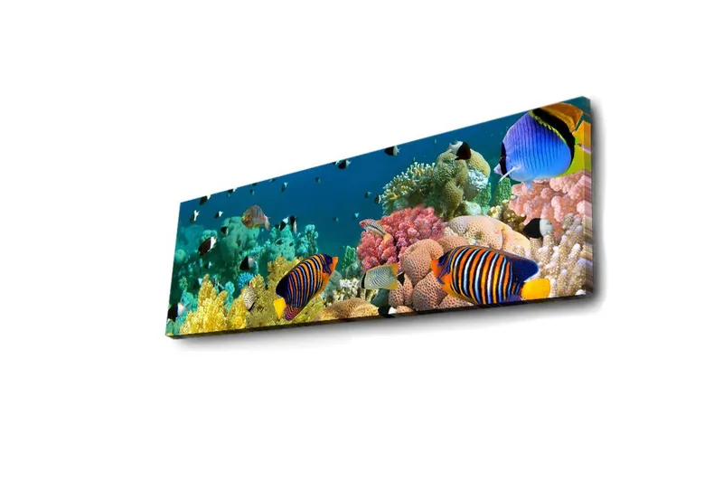 Lærredstryk med LED-belysning 30x90 cm - Farverig undervandsscene med tropiske fisk og koraller - Blå / Gul / Lyserød - Boligtilbehør - Billeder & kunst - Billeder på lærred