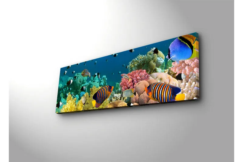 Lærredstryk med LED-belysning 30x90 cm - Farverig undervandsscene med tropiske fisk og koraller - Blå / Gul / Lyserød - Boligtilbehør - Billeder & kunst - Billeder på lærred