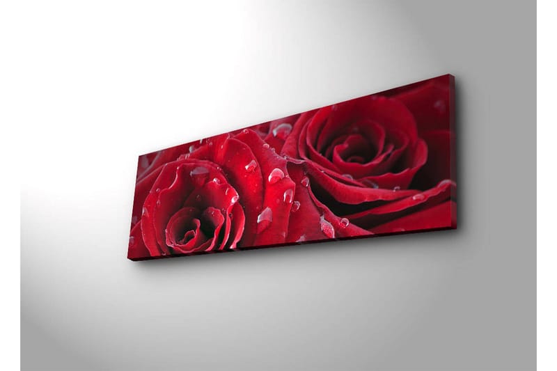 Lærredstryk med LED-belysning 30x90 cm - Mørkerøde roser med vanddråber - Rød / Grøn - Boligtilbehør - Billeder & kunst - Billeder på lærred