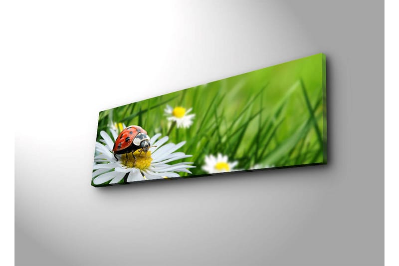 Lærredstryk med LED-belysning 30x90 cm - Mariehøne på en blomst i et frodigt miljø - Grøn / Hvid / Rød - Boligtilbehør - Billeder & kunst - Billeder på lærred