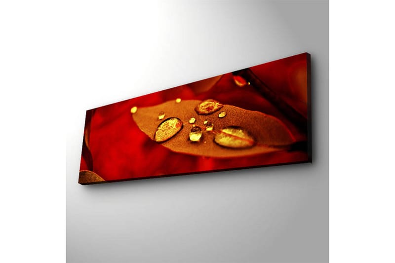 Lærredstryk med LED-belysning 30x90 cm - Rødt blad med funklende vanddråber - Rød / Guld / Brun - Boligtilbehør - Billeder & kunst - Billeder på lærred