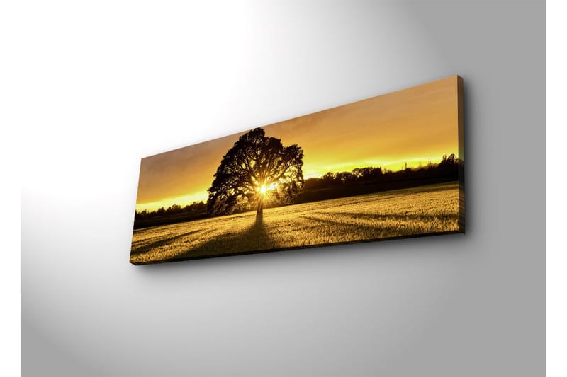 Lærredstryk med LED-belysning 30x90 cm - Silhuet af et træ mod en gylden solnedgang - Guld / Sort / Grøn - Boligtilbehør - Billeder & kunst - Billeder på lærred