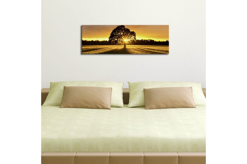Lærredstryk med LED-belysning 30x90 cm - Silhuet af et træ mod en gylden solnedgang - Guld / Sort / Grøn - Boligtilbehør - Billeder & kunst - Billeder på lærred