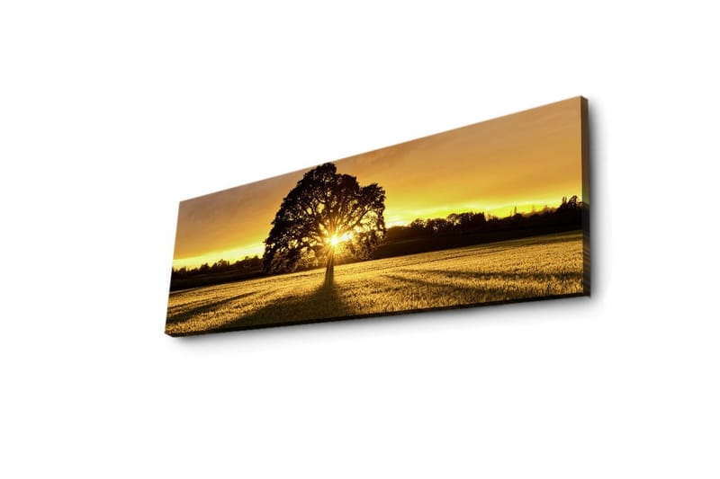 Lærredstryk med LED-belysning 30x90 cm - Silhuet af et træ mod en gylden solnedgang - Guld / Sort / Grøn - Boligtilbehør - Billeder & kunst - Billeder på lærred