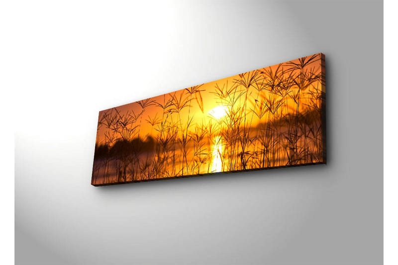 Lærredstryk med LED-belysning 30x90 cm - Solnedgang over en spejlblank sø med græs i forgrunden - Orange / Guld / Sort - Boligtilbehør - Billeder & kunst - Billeder på lærred