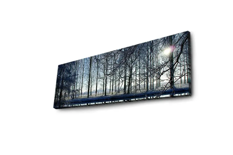 Lærredstryk med LED-belysning 30x90 cm - Vinterlandskab med snedækkede træer og en svag solstråle - Blå / Hvid / Grå - Boligtilbehør - Billeder & kunst - Billeder på lærred