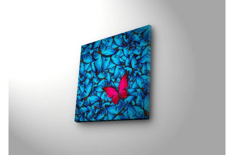 Lærredstryk med LED-belysning 40x40 cm - Blå oplyste sommerfugle i baggrunden med en lyserød sommerfugl - Blå / Lyserød / Sort - Boligtilbehør - Billeder & kunst - Billeder på lærred