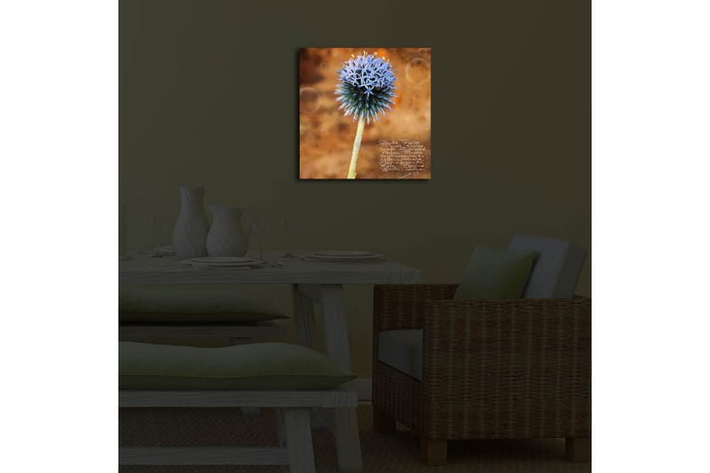 Lærredstryk med LED-belysning 40x40 cm - Blomst med blå spidse kronblade på en varm baggrund - Blå / Brun - Boligtilbehør - Billeder & kunst - Billeder på lærred