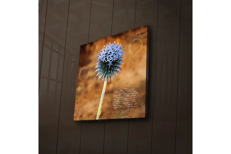 Lærredstryk med LED-belysning 40x40 cm - Blomst med blå spidse kronblade på en varm baggrund - Blå / Brun - Boligtilbehør - Billeder & kunst - Billeder på lærred