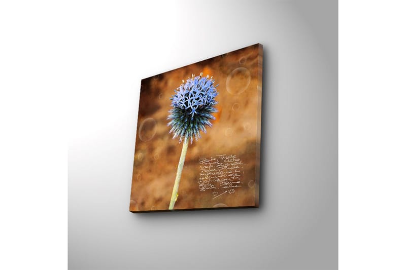 Lærredstryk med LED-belysning 40x40 cm - Blomst med blå spidse kronblade på en varm baggrund - Blå / Brun - Boligtilbehør - Billeder & kunst - Billeder på lærred