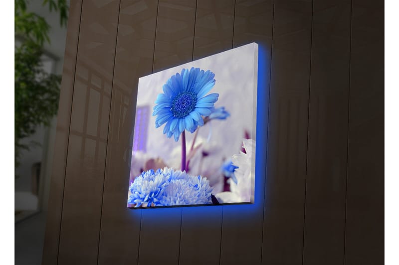 Lærredstryk med LED-belysning 40x40 cm - Blomster i forskellige blå nuancer - Blå / Hvid - Boligtilbehør - Billeder & kunst - Billeder på lærred