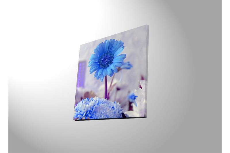 Lærredstryk med LED-belysning 40x40 cm - Blomster i forskellige blå nuancer - Blå / Hvid - Boligtilbehør - Billeder & kunst - Billeder på lærred