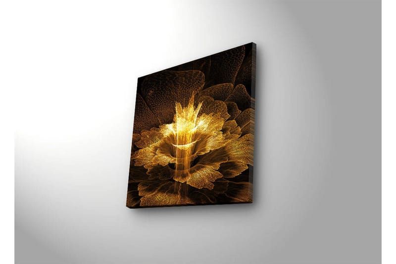Lærredstryk med LED-belysning 40x40 cm - Lysende blomst i abstrakt stil - Guld / Sort / Brun - Boligtilbehør - Billeder & kunst - Billeder på lærred