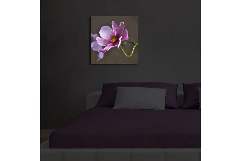 Lærredstryk med LED-belysning 40x40 cm - Lyserøde blomster med grøn stilk - Lyserød / Grøn - Boligtilbehør - Billeder & kunst - Billeder på lærred