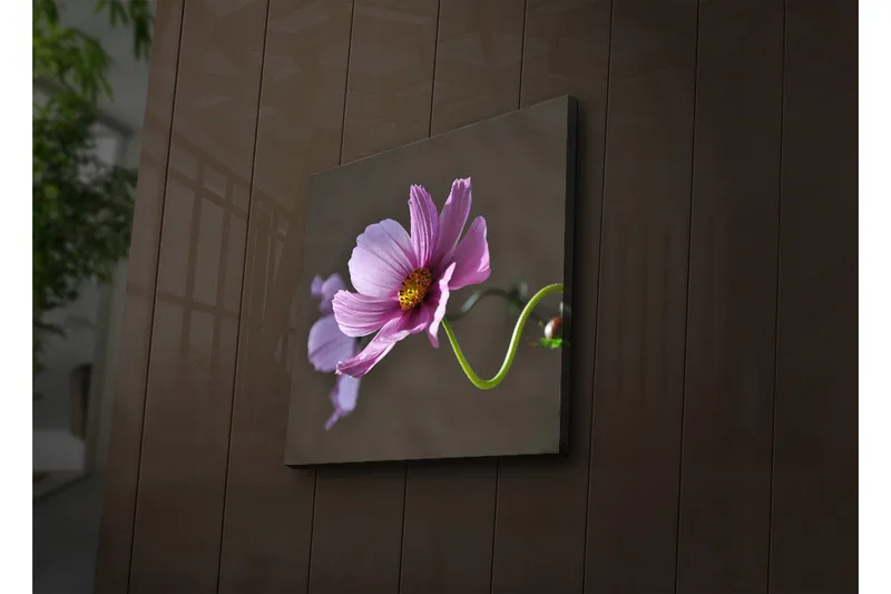 Lærredstryk med LED-belysning 40x40 cm - Lyserøde blomster med grøn stilk - Lyserød / Grøn - Boligtilbehør - Billeder & kunst - Billeder på lærred