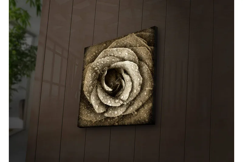Lærredstryk med LED-belysning 40x40 cm - Smuk rose med vanddråber, Beige / Brun / Grå