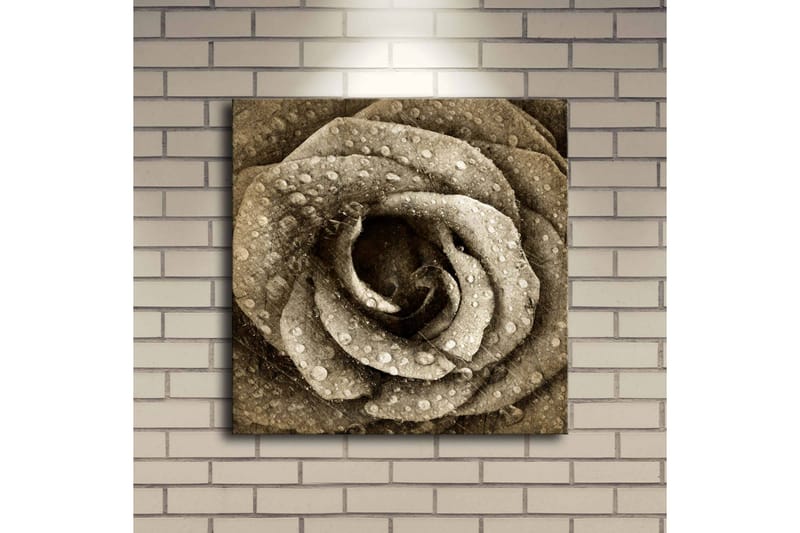 Lærredstryk med LED-belysning 40x40 cm - Smuk rose med vanddråber - Beige / Brun / Grå - Boligtilbehør - Billeder & kunst - Billeder på lærred