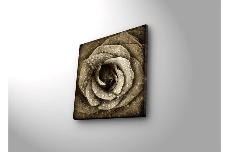 Lærredstryk med LED-belysning 40x40 cm - Smuk rose med vanddråber - Beige / Brun / Grå - Boligtilbehør - Billeder & kunst - Billeder på lærred