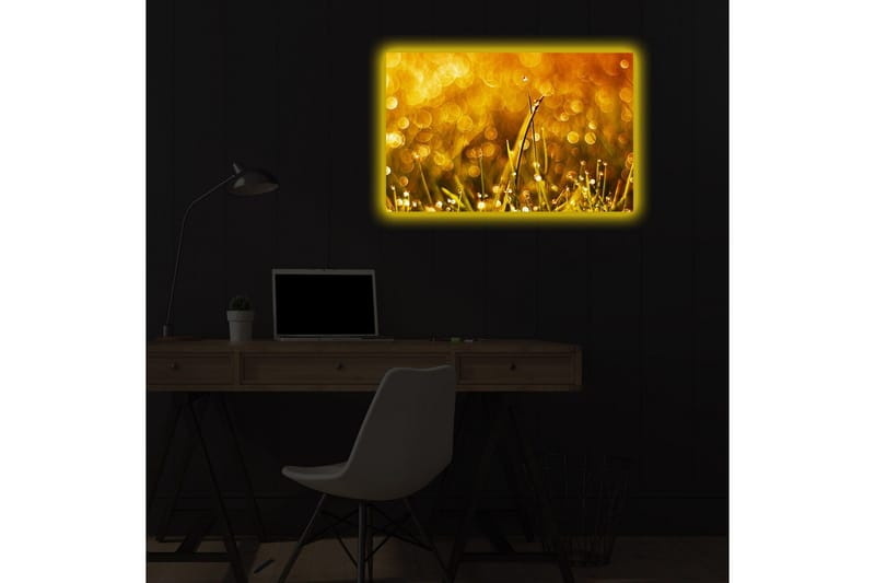 Lærredstryk med LED-belysning 45x70 cm - Glitrende græs med dugdråber i gyldent lys - Guld / Grøn - Boligtilbehør - Billeder & kunst - Billeder på lærred