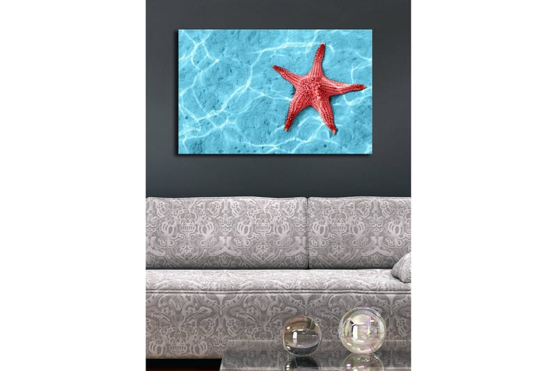 Lærredstryk med LED-belysning 45x70 cm - Rød søstjerne på en klar blå vandoverflade - Rød / Klar blå - Boligtilbehør - Billeder & kunst - Billeder på lærred