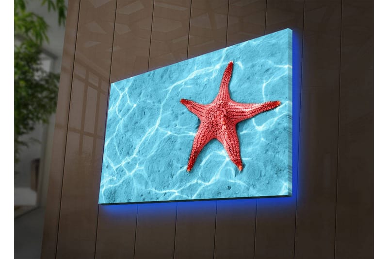 Lærredstryk med LED-belysning 45x70 cm - Rød søstjerne på en klar blå vandoverflade, Rød / Klar blå