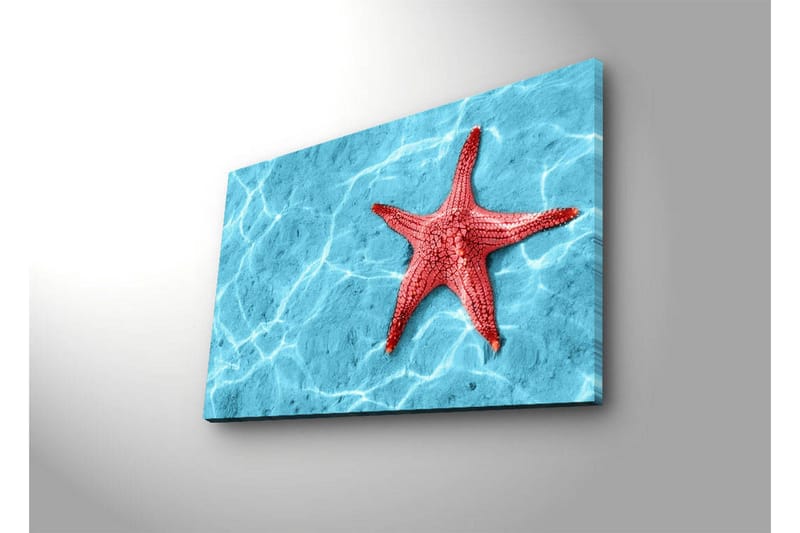 Lærredstryk med LED-belysning 45x70 cm - Rød søstjerne på en klar blå vandoverflade - Rød / Klar blå - Boligtilbehør - Billeder & kunst - Billeder på lærred