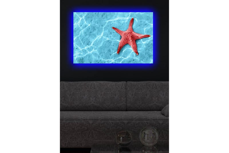 Lærredstryk med LED-belysning 45x70 cm - Rød søstjerne på en klar blå vandoverflade - Rød / Klar blå - Boligtilbehør - Billeder & kunst - Billeder på lærred