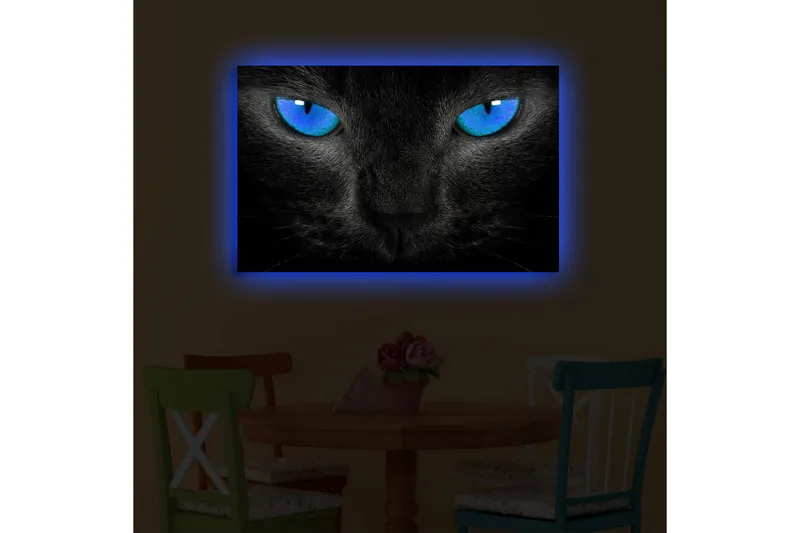 Lærredstryk med LED-belysning 45x70 cm - Sort kat med intense blå øjne - Sort / Blå - Boligtilbehør - Billeder & kunst - Billeder på lærred