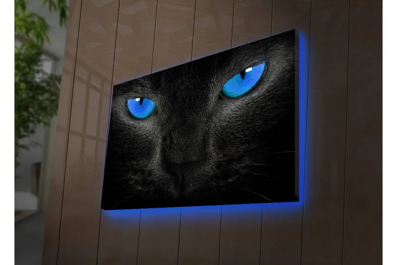 Lærredstryk med LED-belysning 45x70 cm - Sort kat med intense blå øjne - Sort / Blå - Boligtilbehør - Billeder & kunst - Billeder på lærred