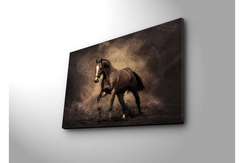 Lærredstryk med LED-belysning 45x70 cm - Stolt hest i bevægelse - Mørkebrun / Beige / Sort - Boligtilbehør - Billeder & kunst - Billeder på lærred