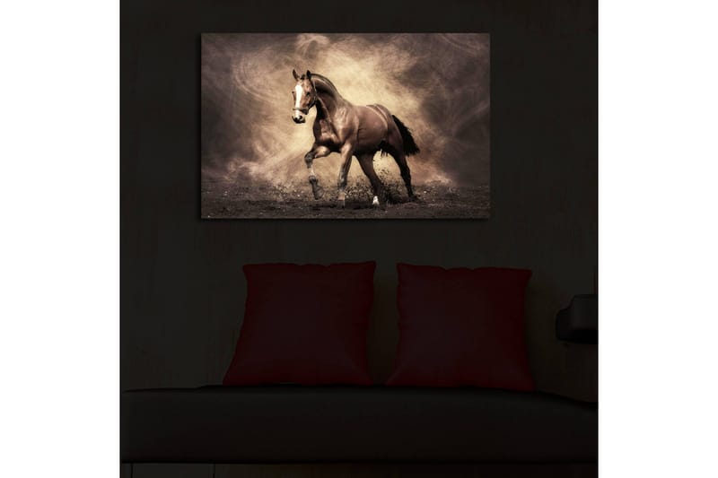 Lærredstryk med LED-belysning 45x70 cm - Stolt hest i bevægelse - Mørkebrun / Beige / Sort - Boligtilbehør - Billeder & kunst - Billeder på lærred