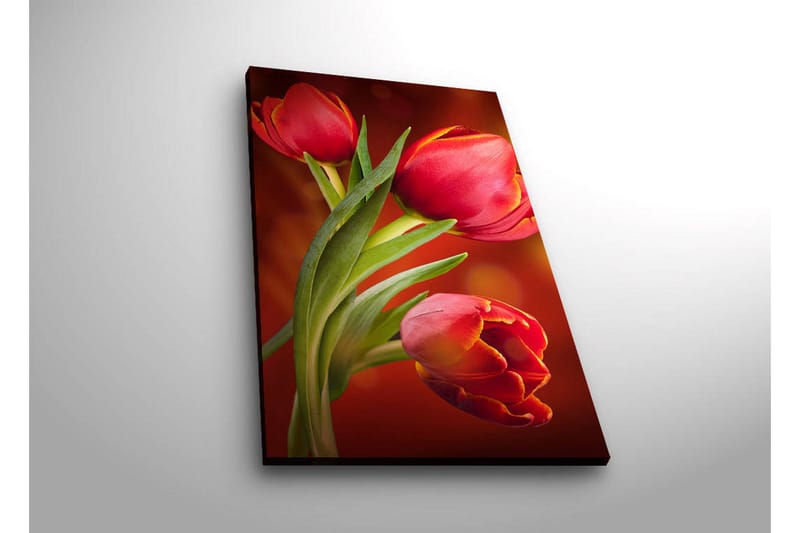 Lærredstryk med LED-belysning 70x45 cm - Farverige tulipaner i en levende komposition - Rød / Grøn / Orange - Boligtilbehør - Billeder & kunst - Billeder på lærred