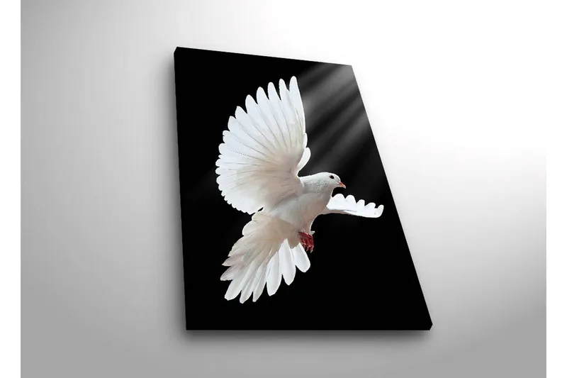 Lærredstryk med LED-belysning 70x45 cm - Hvid due i flugt med udstrakte vinger - Hvid / Sort - Boligtilbehør - Billeder & kunst - Billeder på lærred